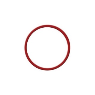 Rancilio Silvia boiler gasket