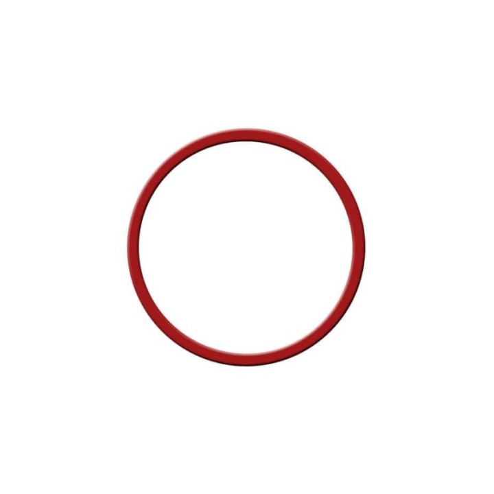 Rancilio Silvia boiler gasket