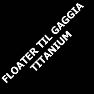 Floater for Gaggia Titanium