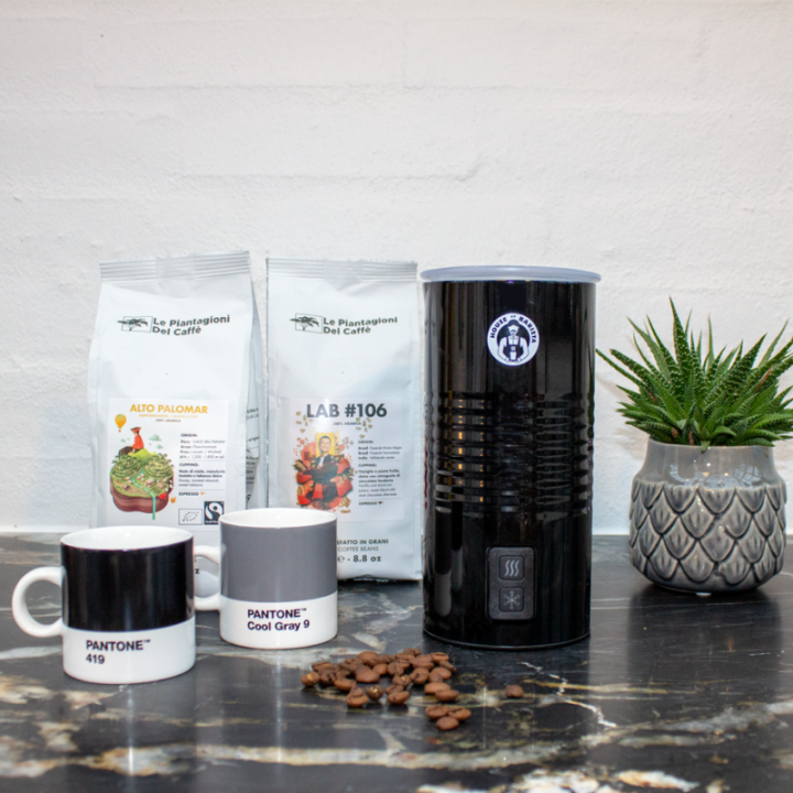 House of Barista Electric Milk Frother