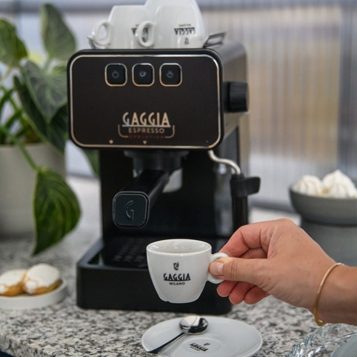 Gaggia Espresso Evolution Black Espresso Machine