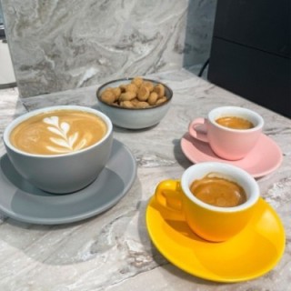 Club House Tulipano Cappuccino m. Underkop Mat Grå 26 cl 6 Stk