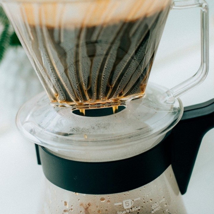 Hario Pegasus Plastik Dripper 02 Transparent