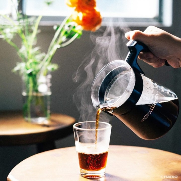 Hario Pegasus 02 Server 600ml