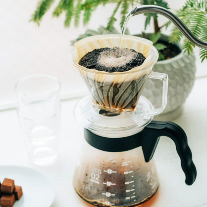 Hario Pegasus 01 Server Inkl. Papir Filtre 01, Dripper 01 & V60 kedel