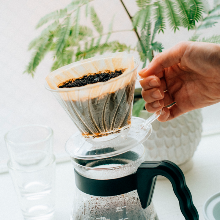 Hario Pegasus 02 Server Inkl. Papir Filtre 02, Dripper 02 & V60 kedel