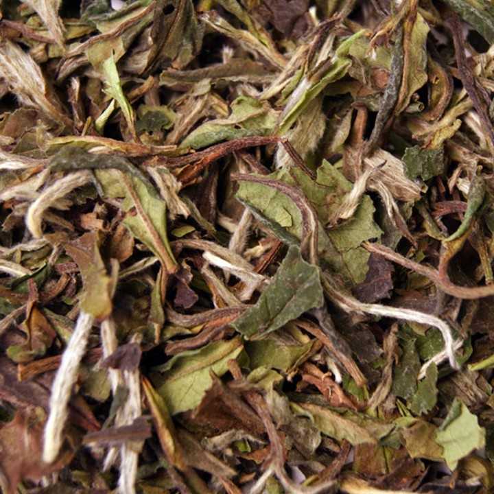 China Pai Mu Tan Std. 6900 Hvid Te 1kg China Pai Mu Tan Std. 6900 Hvid Te 1kg
