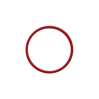 Rancilio Silvia boiler gasket