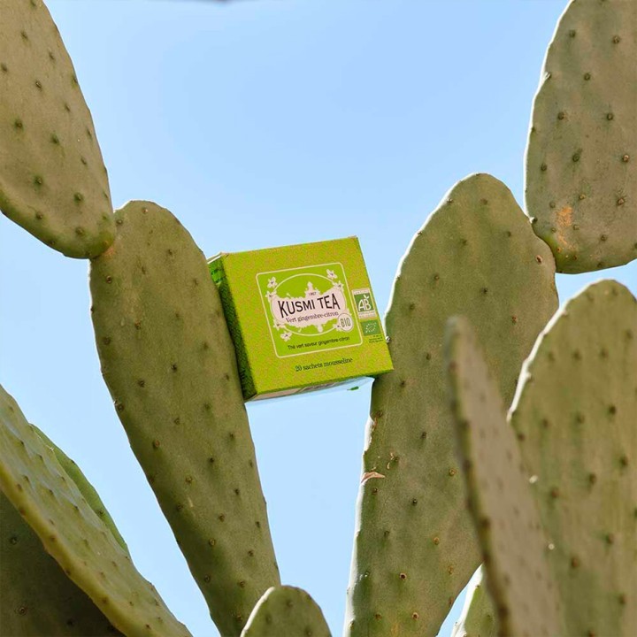 Kusmi Green Tea Lemon and Ginger Organic 100 g
