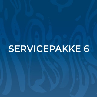 Service package 6