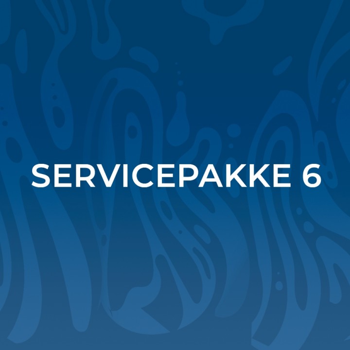 Service package 6