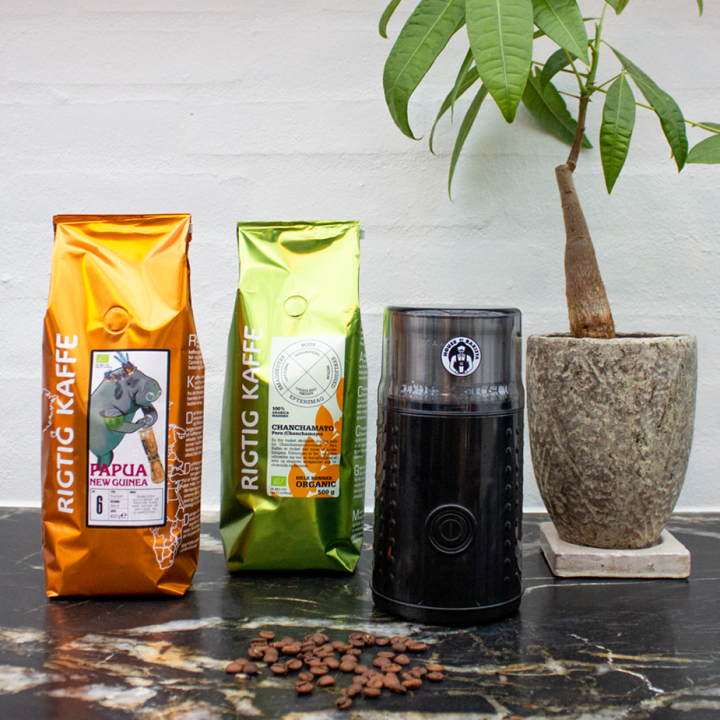 House of Barista Electric Coffee Grinder