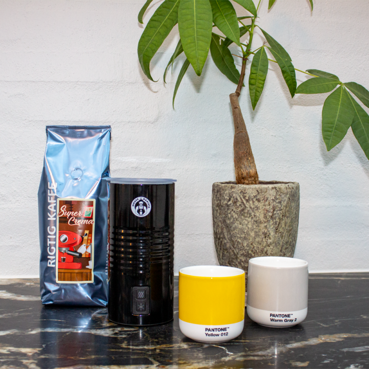 House of Barista Electric Milk Frother