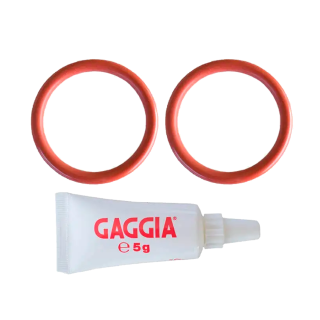 Gaggia Service kit