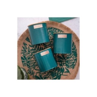 KitchenCraft Beholdere Mørkegrøn 3 Stk