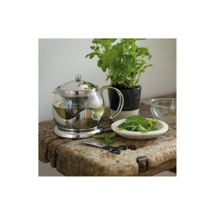 La Cafetière Izmir 4 Kop. Tebrygger Stål