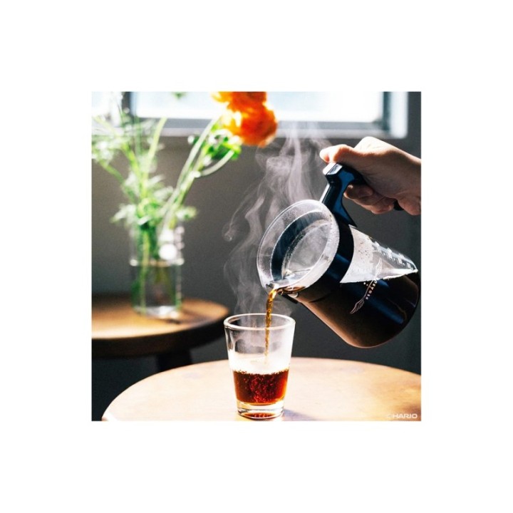Hario Pegasus 01 Server 300ml
