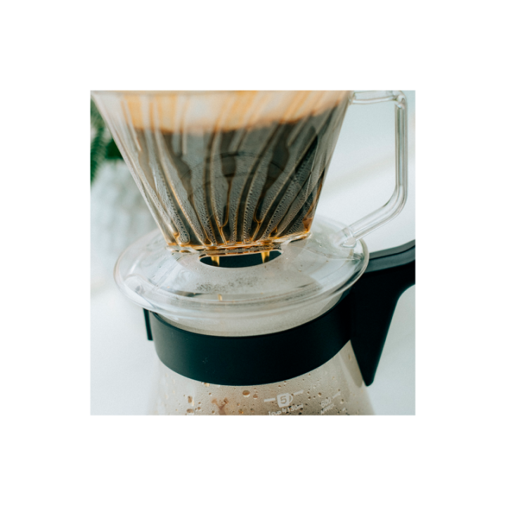 Hario Pegasus 02 Server Inkl. Papir Filtre 02, Dripper 02 & V60 kedel