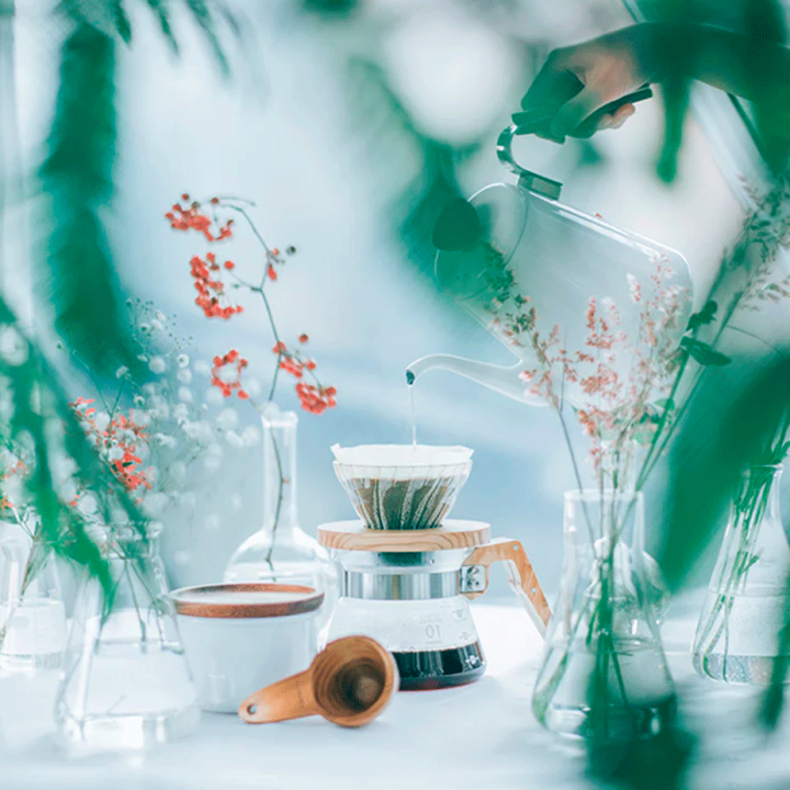 Hario V60-01 Glas Dripper Oliventræ 1 Kop.